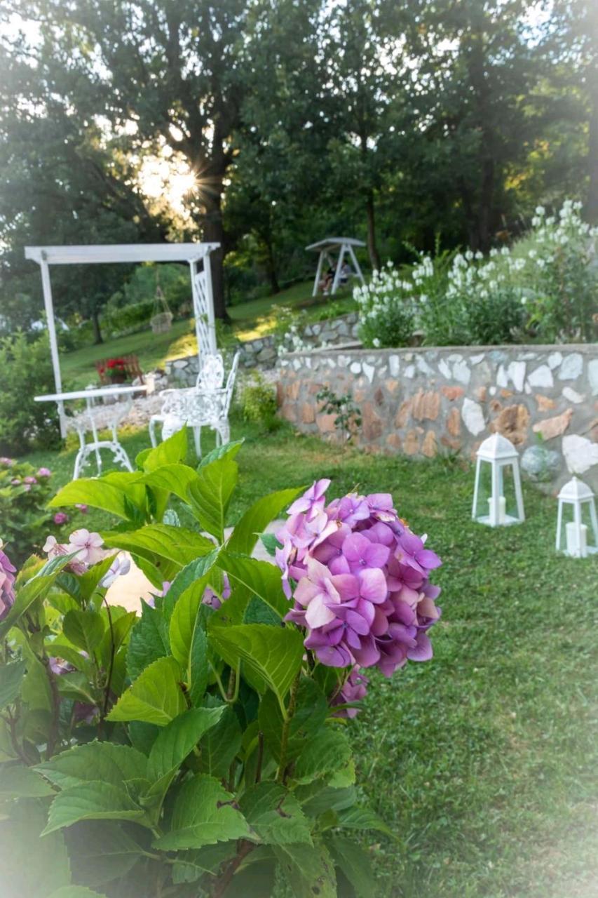 Pensiunea Casa Mircea & Restaurant Eselnita Ngoại thất bức ảnh